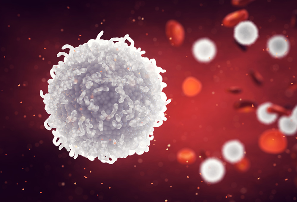 細胞　イメージ画像